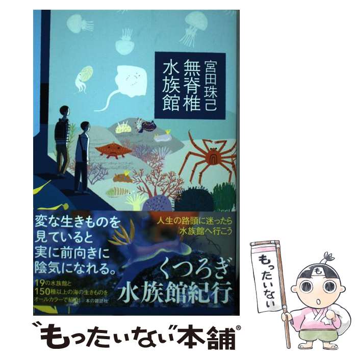 ����š� ̵���ǿ�²�� / ���� ��� / �ܤλ���� [ñ���ܡʥ��եȥ��С���]�ڥ᡼��������̵���ۡں�û������ã�б���