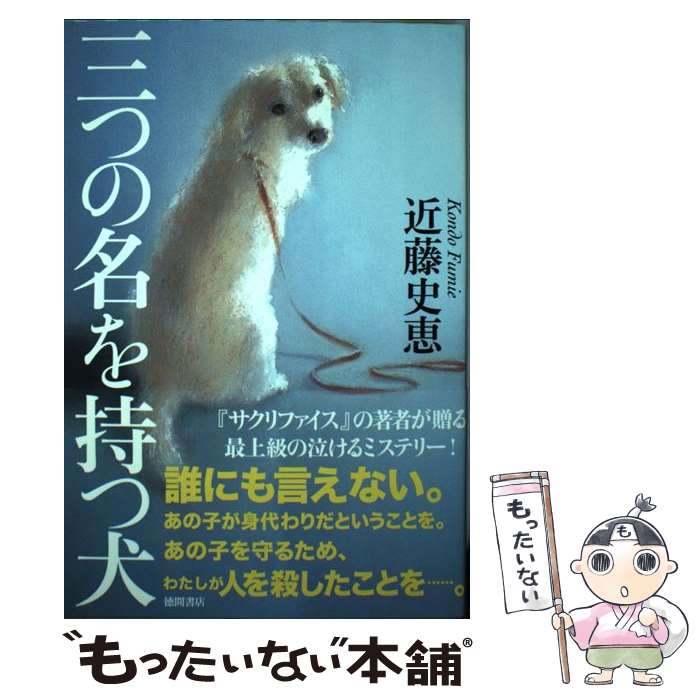 š Ĥ̾ĸ / ƣ˷ / ֽŹ [ñܡʥեȥС]ڥ᡼̵ۡںûãб