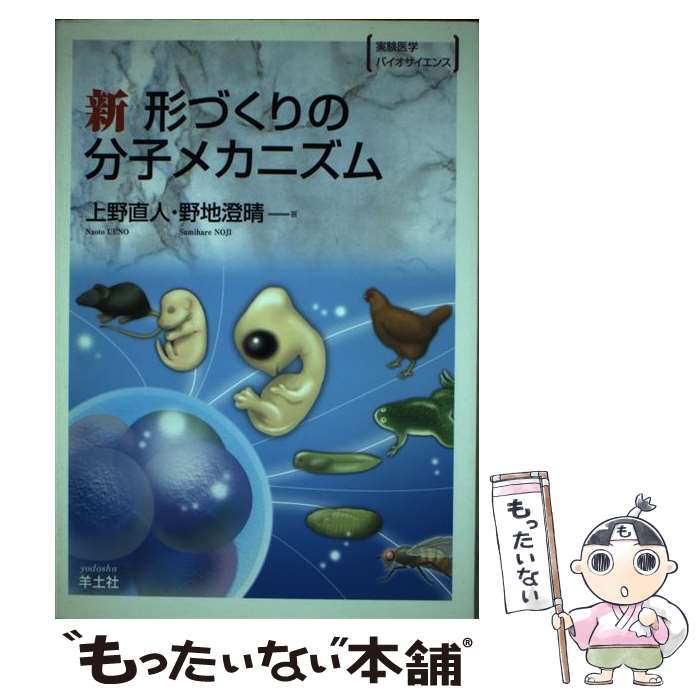 【中古】 新形づくりの分子メカニズム（BS29） / 上野 直人, 野地 澄晴 / 羊土社 単行本 【メール便送料無料】【最短翌日配達対応】
