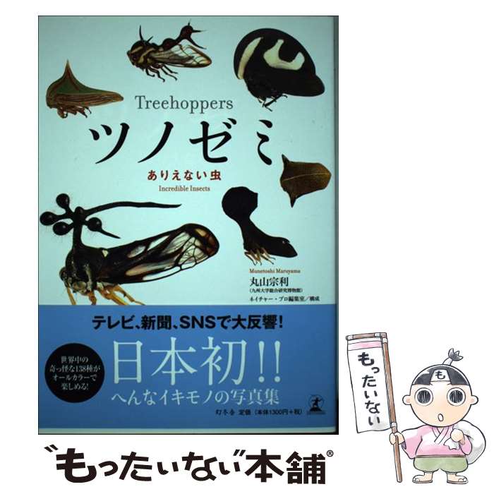【中古】 ツノゼミ / 丸山宗利 / 幻冬舎 [単行本（ソフトカバー）]【メール便送料無料】【最短翌日配達対応】