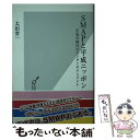  SMAPと平成ニッポン 不安の時代のエンターテインメント / 太田 省一 / 光文社 