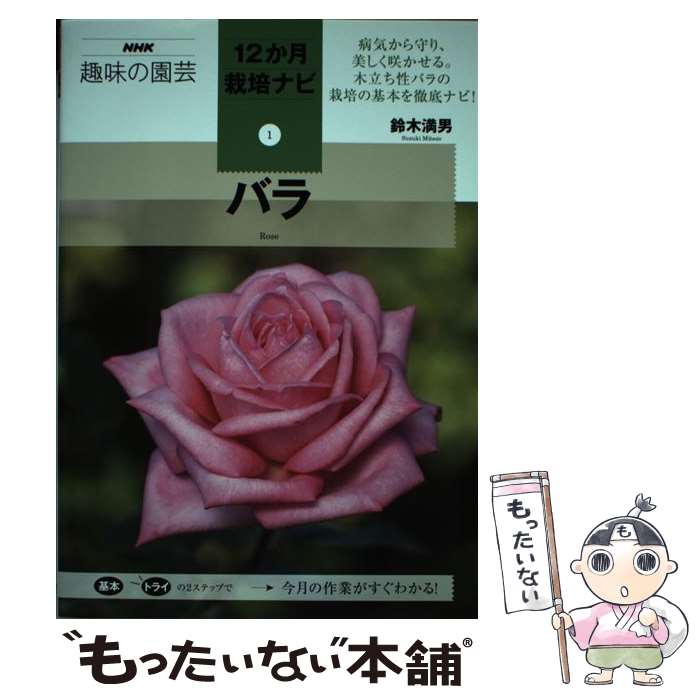 š Х /   / NHK [ñܡʥեȥС]ڥ᡼̵ۡںûãб