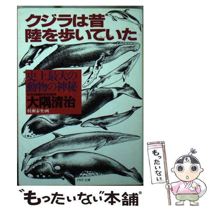 š Φ⤤Ƥ ˾ưʪο /   / PHP [ʸ]ڥ᡼̵ۡںûãб