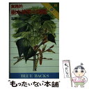 【中古】 実践的樹木検索小図鑑 1 / 石戸 忠 / 講談社 [単行本]【メール便送料無料】【あす楽対応】