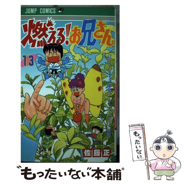【中古】 燃える！お兄さん（13） / 佐藤 正 / 集英社 [コミック]【メール便送料無料】【最短翌日配達対応】