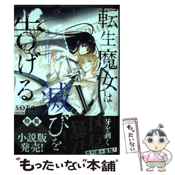 š žǤӤ𤲤 3 / sora / KADOKAWA [ߥå]ڥ᡼̵ۡںûãб