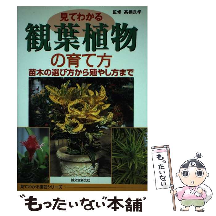  見てわかる観葉植物の育て方 苗木の選び方から殖やし方まで / 高橋 良孝 / 誠文堂新光社 