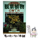 著者：高橋 良孝出版社：誠文堂新光社サイズ：単行本（ソフトカバー）ISBN-10：4416406142ISBN-13：9784416406144■こちらの商品もオススメです ● エビネ / 伊藤 五彦 / NHK出版 [ペーパーバック] ● 観葉植物 失敗しない育て方・楽しみ方 / 尾崎 章 / 西東社 [単行本] ● 失敗しない観葉植物の育て方 / 山方 政樹 / 西東社 [単行本] ● カラー図鑑　観葉植物 カラー図鑑 / 尾崎 章 / 西東社 [単行本] ● 観葉植物手入れと育て方百科 ひと目でわかる年間栽培カレンダー付き / 中山 草司 / 日本文芸社 [単行本] ■通常24時間以内に出荷可能です。※繁忙期やセール等、ご注文数が多い日につきましては　発送まで48時間かかる場合があります。あらかじめご了承ください。 ■メール便は、1冊から送料無料です。※宅配便の場合、2,500円以上送料無料です。※あす楽ご希望の方は、宅配便をご選択下さい。※「代引き」ご希望の方は宅配便をご選択下さい。※配送番号付きのゆうパケットをご希望の場合は、追跡可能メール便（送料210円）をご選択ください。■ただいま、オリジナルカレンダーをプレゼントしております。■お急ぎの方は「もったいない本舗　お急ぎ便店」をご利用ください。最短翌日配送、手数料298円から■まとめ買いの方は「もったいない本舗　おまとめ店」がお買い得です。■中古品ではございますが、良好なコンディションです。決済は、クレジットカード、代引き等、各種決済方法がご利用可能です。■万が一品質に不備が有った場合は、返金対応。■クリーニング済み。■商品画像に「帯」が付いているものがありますが、中古品のため、実際の商品には付いていない場合がございます。■商品状態の表記につきまして・非常に良い：　　使用されてはいますが、　　非常にきれいな状態です。　　書き込みや線引きはありません。・良い：　　比較的綺麗な状態の商品です。　　ページやカバーに欠品はありません。　　文章を読むのに支障はありません。・可：　　文章が問題なく読める状態の商品です。　　マーカーやペンで書込があることがあります。　　商品の痛みがある場合があります。