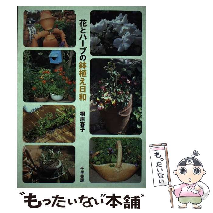 【中古】 花とハーブの鉢植え日和 / 桐原 春子 / 千早書房 [単行本]【メール便送料無料】【最短翌日配..