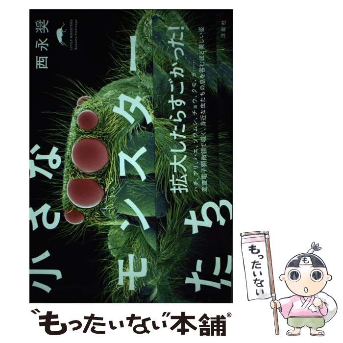 著者：西永奨出版社：洋泉社サイズ：単行本（ソフトカバー）ISBN-10：4862488927ISBN-13：9784862488923■通常24時間以内に出荷可能です。※繁忙期やセール等、ご注文数が多い日につきましては　発送まで48時間かかる場合があります。あらかじめご了承ください。 ■メール便は、1冊から送料無料です。※宅配便の場合、2,500円以上送料無料です。※最短翌日配達ご希望の方は、宅配便をご選択下さい。※「代引き」ご希望の方は宅配便をご選択下さい。※配送番号付きのゆうパケットをご希望の場合は、追跡可能メール便（送料210円）をご選択ください。■ただいま、オリジナルカレンダーをプレゼントしております。■お急ぎの方は「もったいない本舗　お急ぎ便店」をご利用ください。最短翌日配送、手数料298円から■まとめ買いの方は「もったいない本舗　おまとめ店」がお買い得です。■中古品ではございますが、良好なコンディションです。決済は、クレジットカード、代引き等、各種決済方法がご利用可能です。■万が一品質に不備が有った場合は、返金対応。■クリーニング済み。■商品画像に「帯」が付いているものがありますが、中古品のため、実際の商品には付いていない場合がございます。■商品状態の表記につきまして・非常に良い：　　使用されてはいますが、　　非常にきれいな状態です。　　書き込みや線引きはありません。・良い：　　比較的綺麗な状態の商品です。　　ページやカバーに欠品はありません。　　文章を読むのに支障はありません。・可：　　文章が問題なく読める状態の商品です。　　マーカーやペンで書込があることがあります。　　商品の痛みがある場合があります。