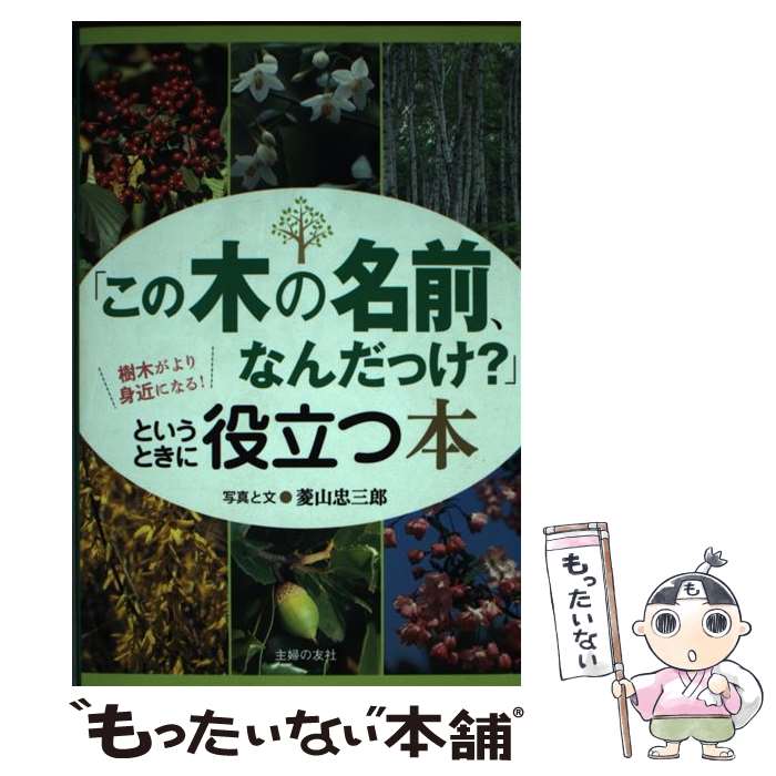 【中古】 「この木の名前、なんだっけ？」というときに役立つ本 樹木がより身近になる！ / 菱山 忠三郎 / 主婦の友社 [単行本（ソフトカバー）]【メール便送料無料】【あす楽対応】のサムネイル