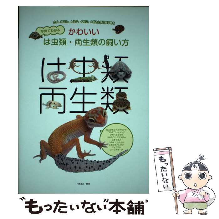 【中古】 写真でわかるかわいいは虫類・両生類の飼い方 カメ、カエル、トカゲ、イモリ、ヘビと上手に暮らせる / 川添 宣広 / 誠文堂新光社 [単行本]【メール便送料無料】【あす楽対応】