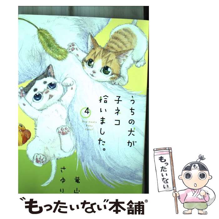 ����š� �����θ����ҥͥ������ޤ���������4���� / ε�� ����� / ���ش� [���ߥå�]�ڥ᡼��������̵���ۡں�û������ã�б���