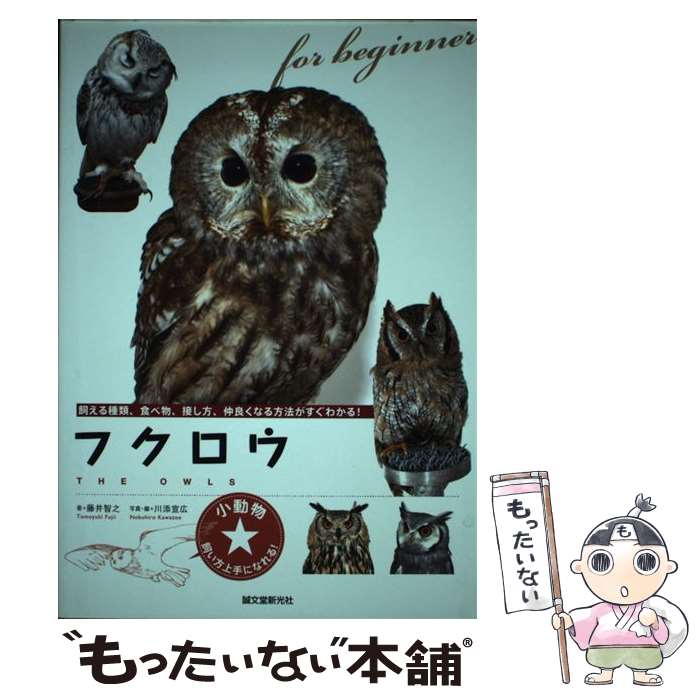 【中古】 フクロウ / 藤井 智之, 川添 宣広 / 誠文堂新光社 [単行本]【メール便送料無料】【最短翌日配..
