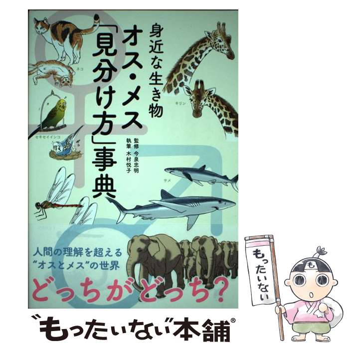 ����š� �ȶ������ʪ �������᥹�ָ�ʬ�����׻�ŵ / ��¼ �ٻ�, ���� ���� / �٥���� [ñ����]�ڥ᡼��������̵���ۡں�û������ã�б���