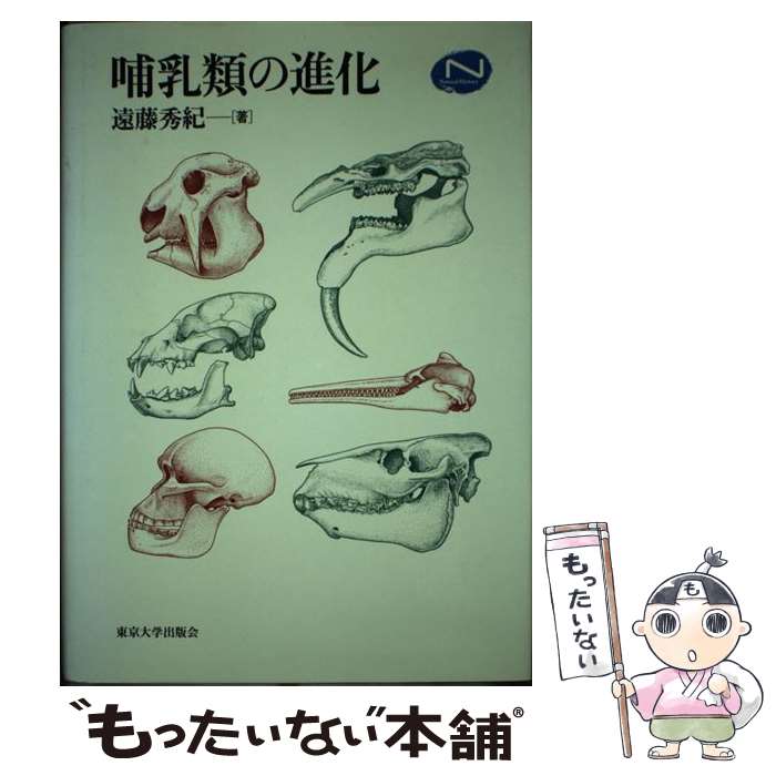 š Ӯοʲ / ƣ  / ؽǲ [ñ]ڥ᡼̵ۡںûãб