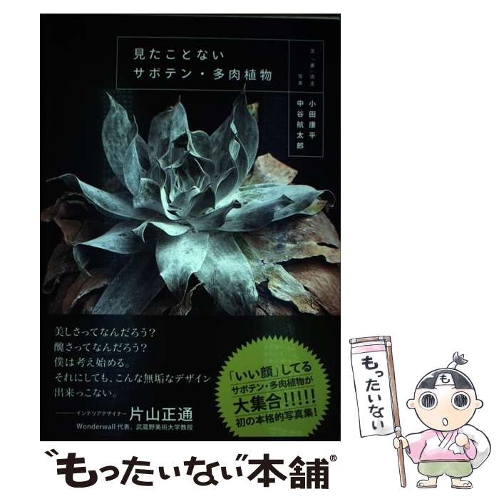 【中古】 見たことないサボテン 多肉植物 / 小田 康平 / 二見書房 単行本 【メール便送料無料】【あす楽対応】