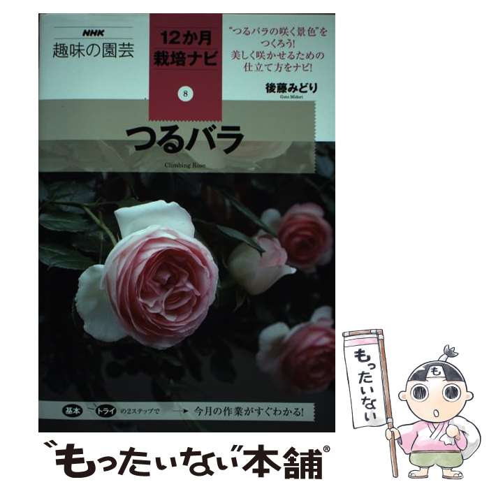 著者：後藤 みどり出版社：NHK出版サイズ：単行本（ソフトカバー）ISBN-10：4140402814ISBN-13：9784140402818■通常24時間以内に出荷可能です。※繁忙期やセール等、ご注文数が多い日につきましては　発送まで48時間かかる場合があります。あらかじめご了承ください。 ■メール便は、1冊から送料無料です。※宅配便の場合、2,500円以上送料無料です。※最短翌日配達ご希望の方は、宅配便をご選択下さい。※「代引き」ご希望の方は宅配便をご選択下さい。※配送番号付きのゆうパケットをご希望の場合は、追跡可能メール便（送料210円）をご選択ください。■ただいま、オリジナルカレンダーをプレゼントしております。■お急ぎの方は「もったいない本舗　お急ぎ便店」をご利用ください。最短翌日配送、手数料298円から■まとめ買いの方は「もったいない本舗　おまとめ店」がお買い得です。■中古品ではございますが、良好なコンディションです。決済は、クレジットカード、代引き等、各種決済方法がご利用可能です。■万が一品質に不備が有った場合は、返金対応。■クリーニング済み。■商品画像に「帯」が付いているものがありますが、中古品のため、実際の商品には付いていない場合がございます。■商品状態の表記につきまして・非常に良い：　　使用されてはいますが、　　非常にきれいな状態です。　　書き込みや線引きはありません。・良い：　　比較的綺麗な状態の商品です。　　ページやカバーに欠品はありません。　　文章を読むのに支障はありません。・可：　　文章が問題なく読める状態の商品です。　　マーカーやペンで書込があることがあります。　　商品の痛みがある場合があります。