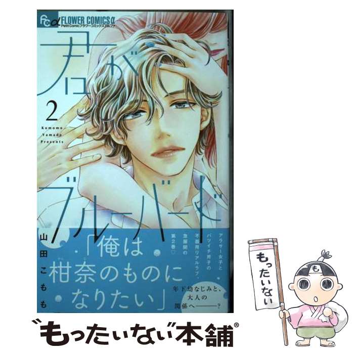 ����š� �����֥롼�С��ɡ�2�� / ���� ����� / ���ش� [���ߥå�]�ڥ᡼��������̵���ۡں�û������ã�б���