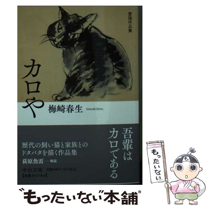 ����š� ������ / �ߺ� ���� / ����������� [ʸ��]�ڥ᡼��������̵���ۡں�û������ã�б���