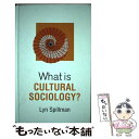  What Is Cultural Sociology? / Lyn Spillman / Polity 