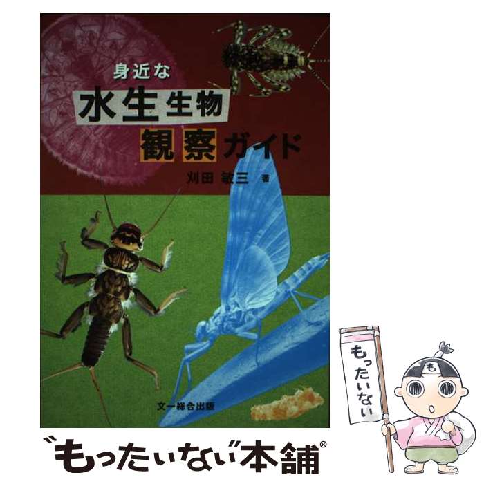 š ȶʿʪѻ /  һ / ʸ [ñ]ڥ᡼̵ۡںûãб