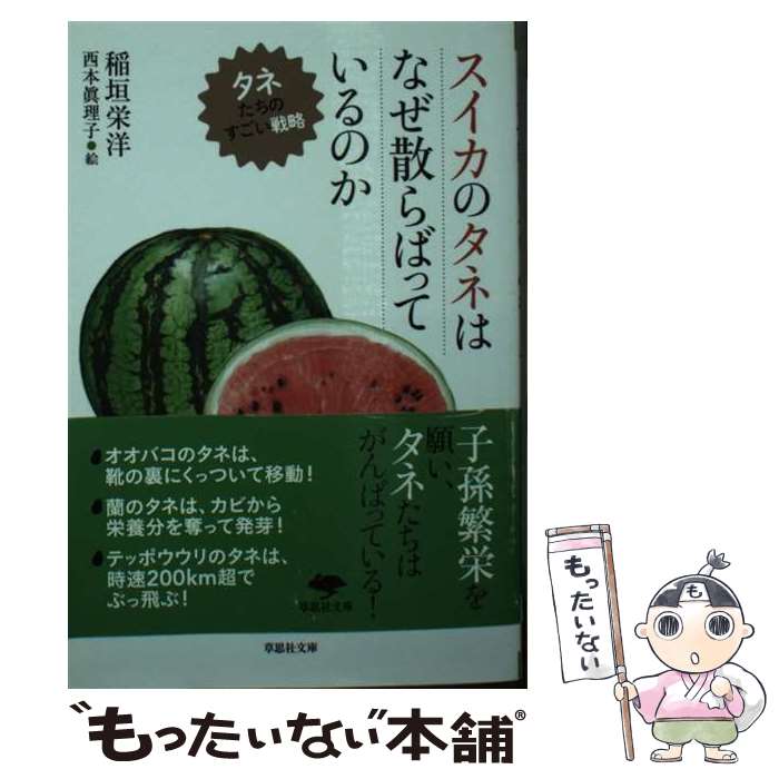 【中古】 スイカのタネはなぜ散らばっているのか タネたちのすごい戦略 / 西本 眞理子, 稲垣 栄洋 / 草思社 [文庫]【メール便送料無料】【あす楽対応】