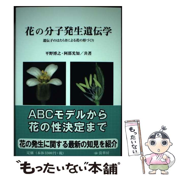 著者：平野 博之, 阿部 光知出版社：裳華房サイズ：単行本（ソフトカバー）ISBN-10：4785358688ISBN-13：9784785358686■通常24時間以内に出荷可能です。※繁忙期やセール等、ご注文数が多い日につきましては　発送まで48時間かかる場合があります。あらかじめご了承ください。 ■メール便は、1冊から送料無料です。※宅配便の場合、2,500円以上送料無料です。※最短翌日配達ご希望の方は、宅配便をご選択下さい。※「代引き」ご希望の方は宅配便をご選択下さい。※配送番号付きのゆうパケットをご希望の場合は、追跡可能メール便（送料210円）をご選択ください。■ただいま、オリジナルカレンダーをプレゼントしております。■お急ぎの方は「もったいない本舗　お急ぎ便店」をご利用ください。最短翌日配送、手数料298円から■まとめ買いの方は「もったいない本舗　おまとめ店」がお買い得です。■中古品ではございますが、良好なコンディションです。決済は、クレジットカード、代引き等、各種決済方法がご利用可能です。■万が一品質に不備が有った場合は、返金対応。■クリーニング済み。■商品画像に「帯」が付いているものがありますが、中古品のため、実際の商品には付いていない場合がございます。■商品状態の表記につきまして・非常に良い：　　使用されてはいますが、　　非常にきれいな状態です。　　書き込みや線引きはありません。・良い：　　比較的綺麗な状態の商品です。　　ページやカバーに欠品はありません。　　文章を読むのに支障はありません。・可：　　文章が問題なく読める状態の商品です。　　マーカーやペンで書込があることがあります。　　商品の痛みがある場合があります。