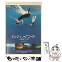 【中古】 ドルフィン・グライド/DVD/GNBW-7229 / レイドバック・コーポレーション [DVD]【メール便送料無料】【あす楽対応】