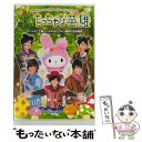 【中古】 ちっちゃな英雄/DVD/V-1252 / サンリオ [DVD]【メール便送料無料】【あす楽対応】