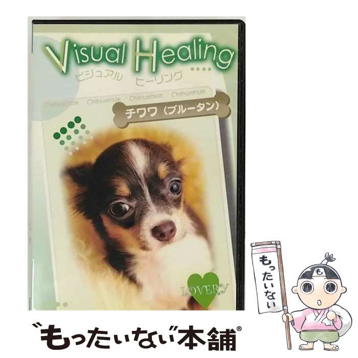 【中古】 Visual　Healing　7　チワワ（