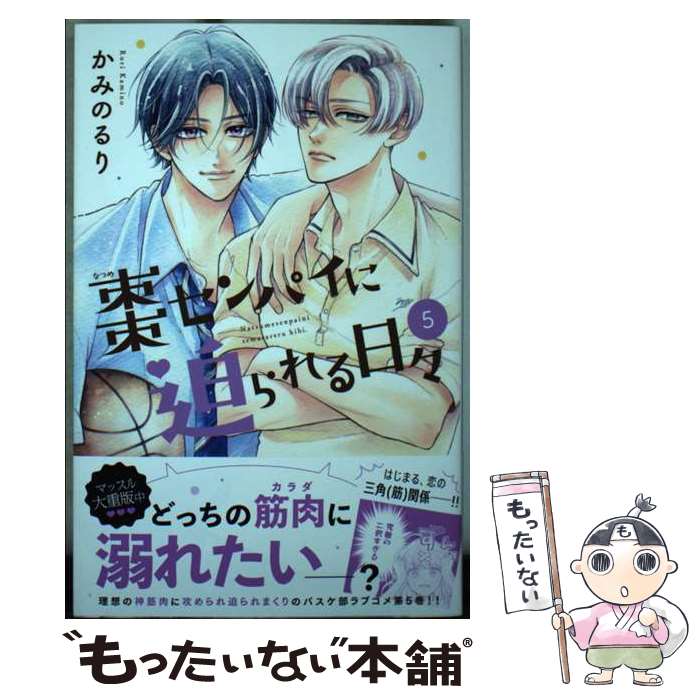 ����š� ܧ����ѥ���������������5�� / ���ߤ� ��� / ���̼� [���ߥå�]�ڥ᡼��������̵���ۡں�û������ã�б���