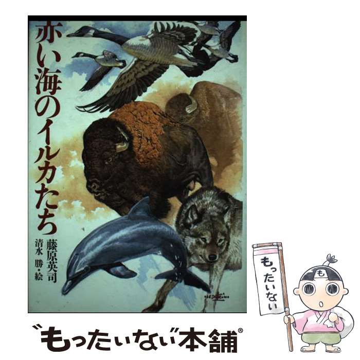 【中古】 赤い海のイルカたち / 藤原 英司 / 国土社 [単行本]【メール便送料無料】【あす楽対応】