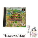 【中古】 ワールド・ネバーランド〜オルルド王国物語〜 / リバーヒルソフト【メール便送料無料】【最短翌日配達対応】