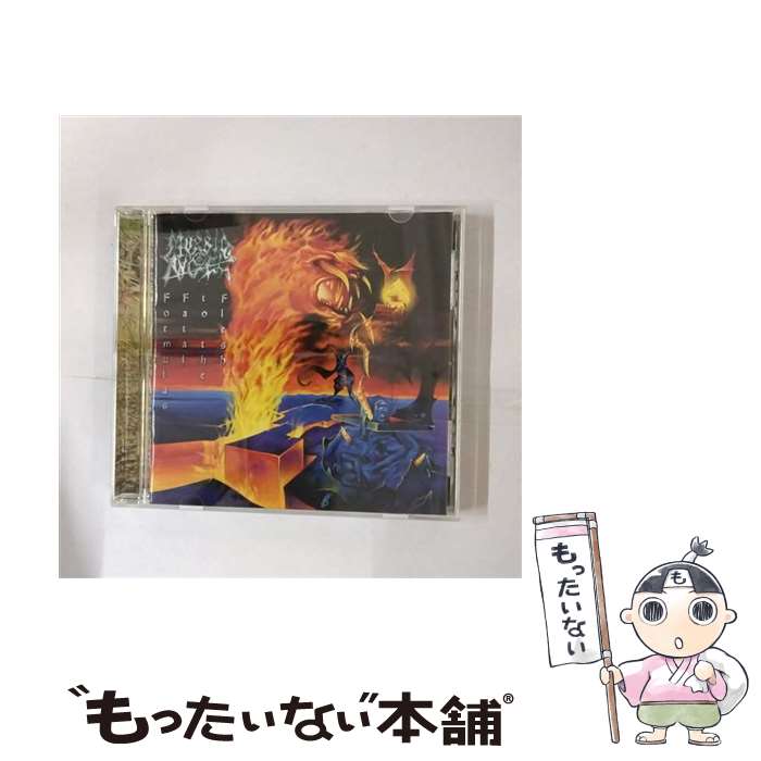 【中古】 フォーミュラス・フェイタル・トゥ・ザ・フレッシュ/CD/VICP-60189 / モービッド・エンジェル / ビクターエンタテインメント [CD]【メール便送料無料】【あす楽対応】