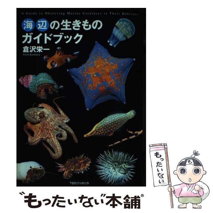 Nonfiction - 【中古】 海辺の生きものガイドブック / 倉沢 栄一 / 阪急コミュニケーションズ [単行本（ソフトカバー）]【メール便送料無料】【最短翌日配達対応】
