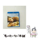 【中古】 エンドレス・ラブ〜17歳の止められない純愛/Blu-ray Disc/GNXF-1720 / NBCユニバーサル・エンターテイメントジャパン [Blu...