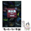 【中古】 海水魚 ひと目で特徴がわかる図解付き 改訂新版 / 加藤 昌一 / 誠文堂新光社 [単行本]【メール便送料無料】【あす楽対応】