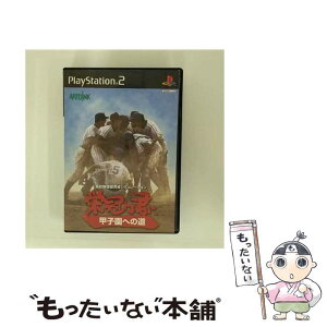 【中古】 栄冠は君に 甲子園への道 / アートディンク【メール便送料無料】【あす楽対応】