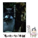 【中古】 捕食動物写真集 / 新紀元社 / 新紀元社 単行本（ソフトカバー） 【メール便送料無料】【あす楽対応】