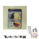 【中古】 北極サファリ　with　ナイジェル・マーヴェン　Vol．1/DVD/OPSD-C020 / エスピーオー [DVD]【メール便送料無料】【あす楽対応】