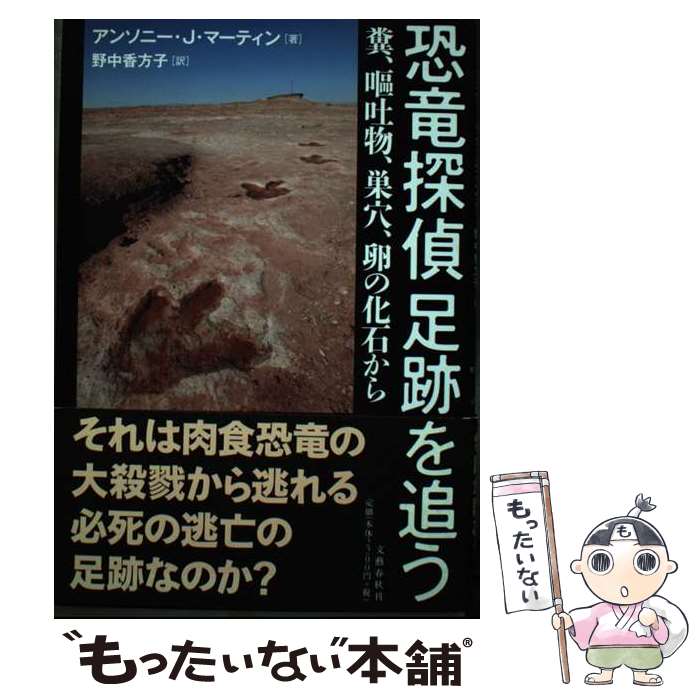 š εõ­פɤ ʵʪꡢβФ / 󥽥ˡJޡƥ,   / ʸ麽ս [ñ]ڥ᡼...
