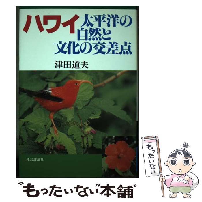 š ϥ磻ʿΤμʸθ /  ƻ / Ҳɾ [ñ]ڥ᡼̵ۡںûãб