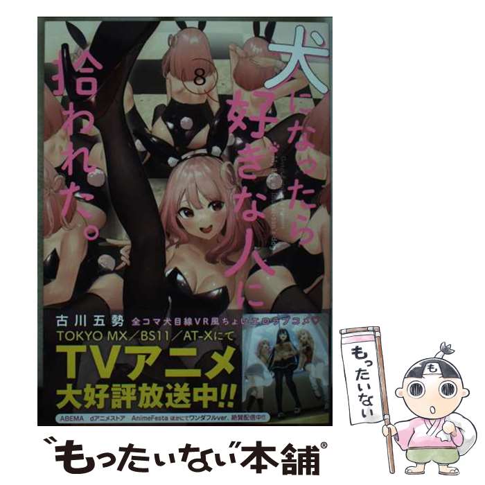 【中古】 犬になったら好きな人に拾われた。（8） / 古川 五勢 / 講談社 [コミック]【メール便送料無料】【最短翌日配達対応】