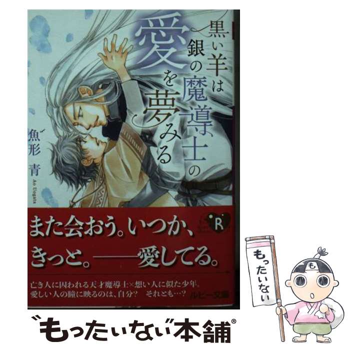 【中古】 黒い羊は銀の魔導士の愛を夢みる / 魚形 青, 金 ひかる / KADOKAWA [文庫...