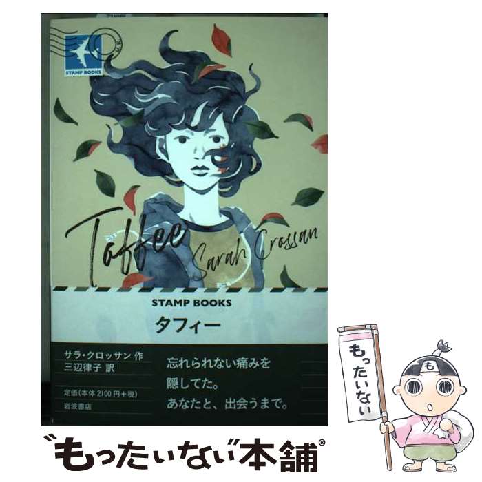 情報視覚化で有名なタフティー（TUFTE）の本 3冊セット 英語版 ハード