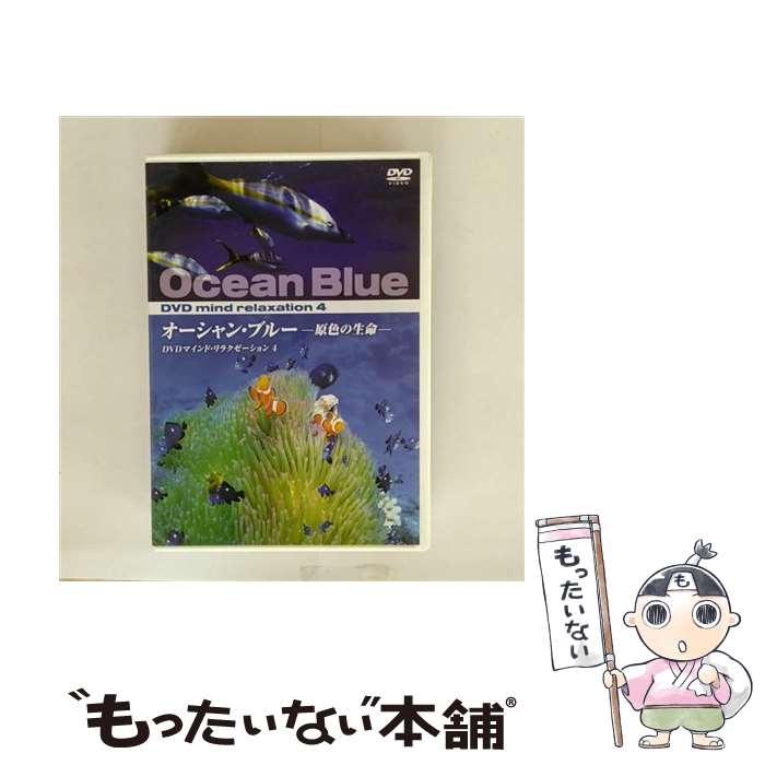 š  ֥롼 ̿ KVD-3504 / ׳ [DVD]ڥ᡼̵ۡںûãб