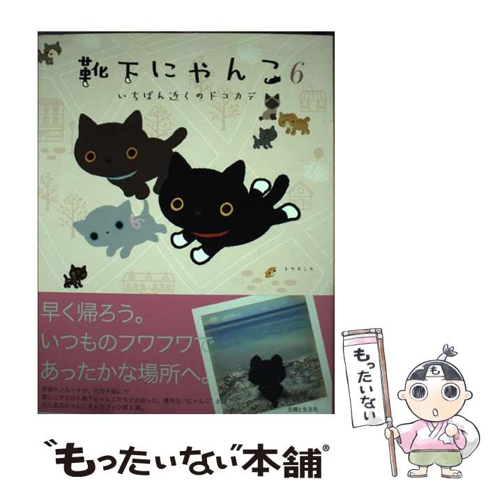 【中古】 靴下にゃんこ（6） / トヤ ヨシエ / 主婦と生活社 [単行本]【メール便送料無料】【最短翌日配..