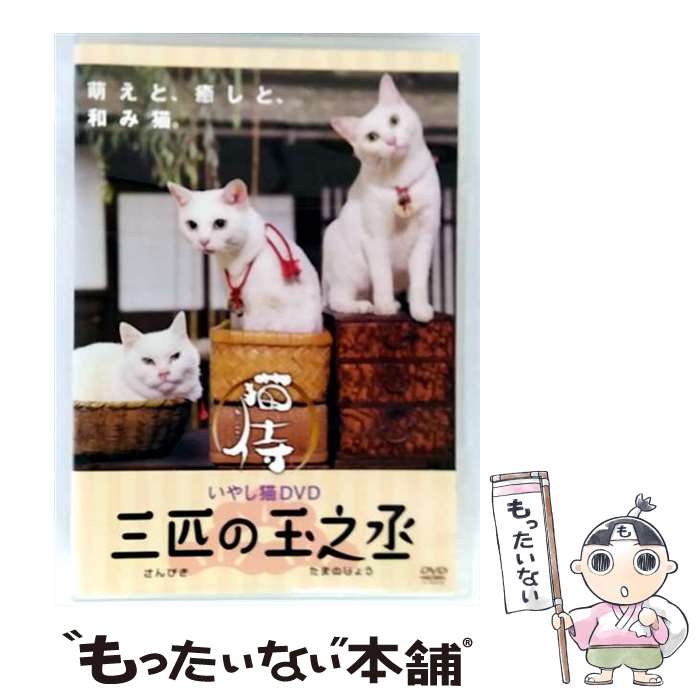楽天市場】猫侍 dvdの通販