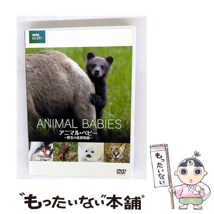 š BBCearth˥ޥ롦٥ӡĹʪ/DVD/GADS-1942 / 㥬 [DVD]ڥ᡼̵ۡںûãб